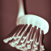 dish_brushes dish_brushes
