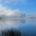 morgennebel - joujou - pixelio.de morgennebel - joujou - pixelio.de