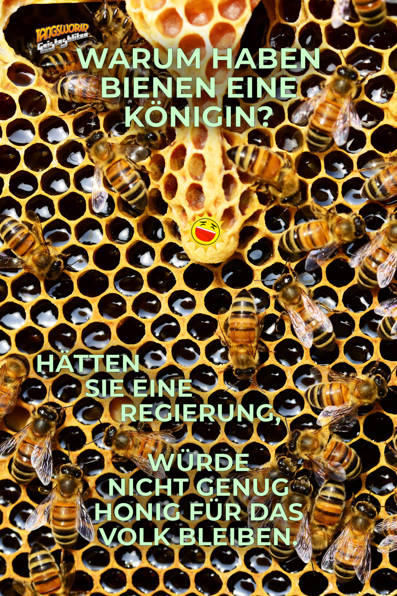 Warum haben Bienen eine Königin? Hätten sie eine Regierung, würde nicht genug Honig für das Volk bleiben. - Geistes(bl)witze