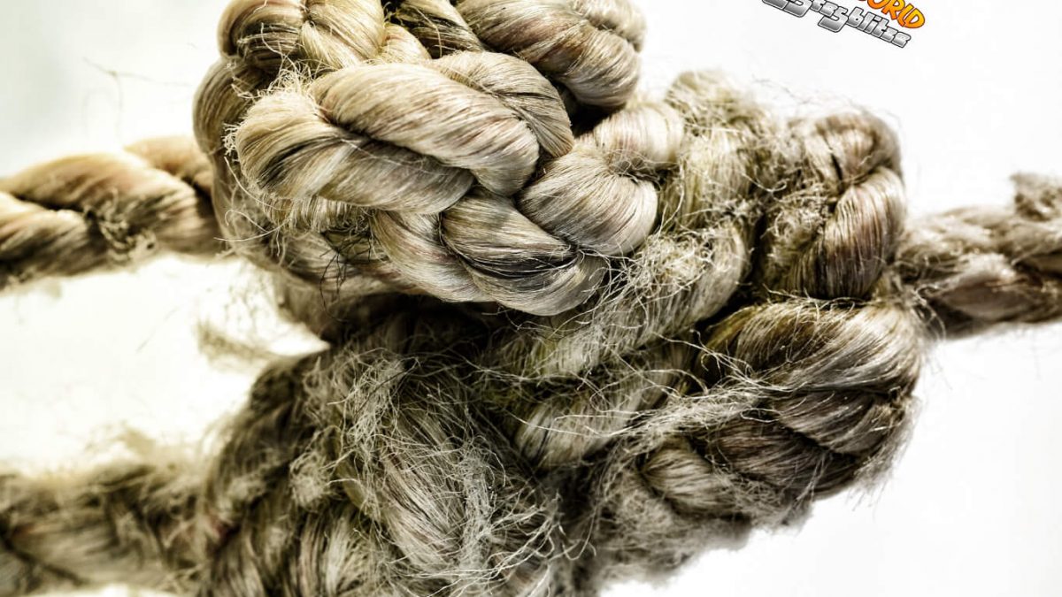 Knoten Auf Dem Kopf Captions Viral Today