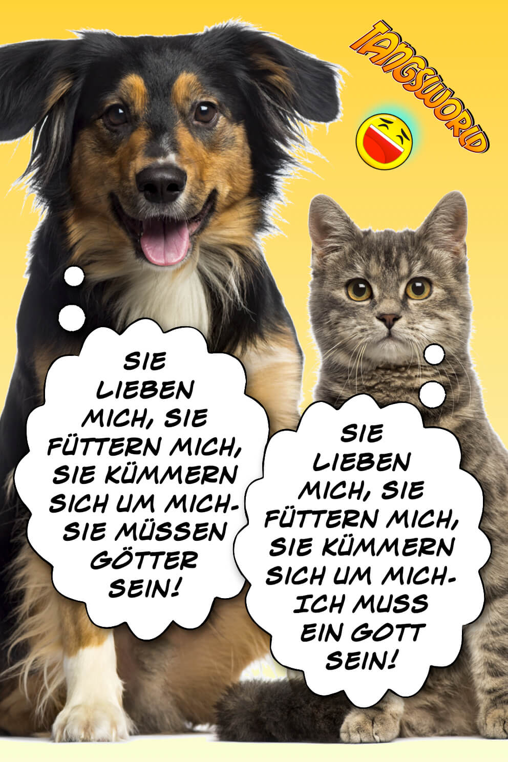 Geistesblitze Unterschied Hund und Katze Tangsworld